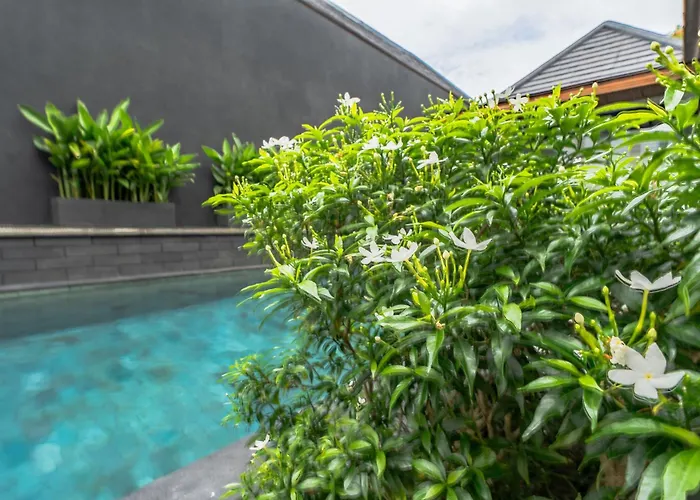 Apartahotel Aresty 3 Bedroom