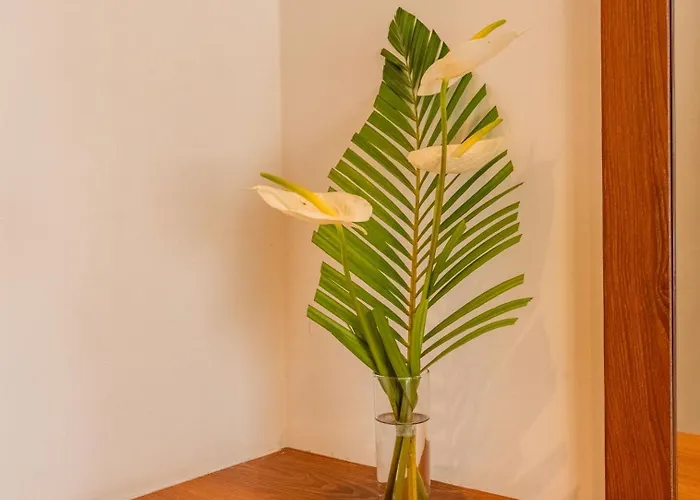 Aresty 3 Bedroom Apartahotel